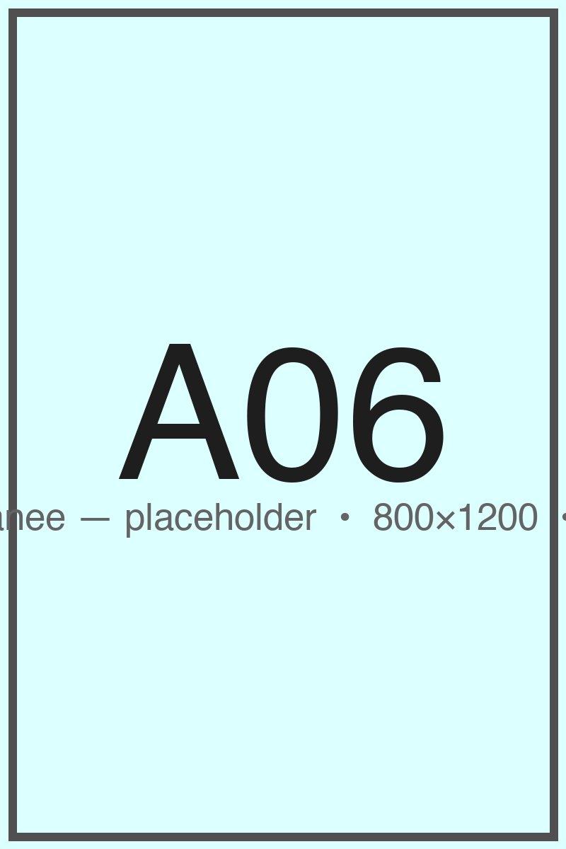 A06 — Placeholder