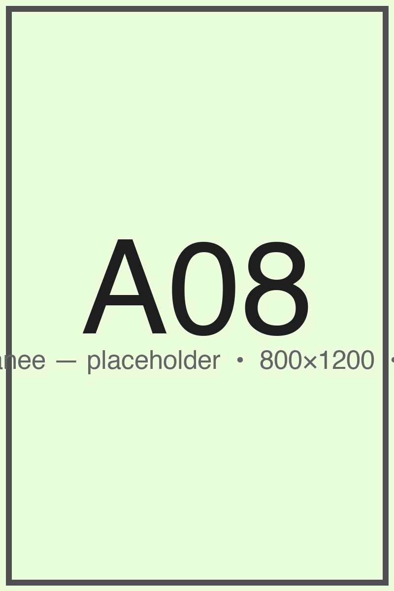 A08 — Placeholder